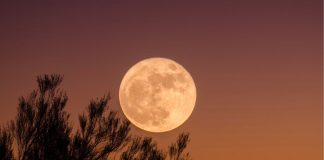 Luna de la Cosecha 2026: ¿cuándo podrá verse y por qué se llama así?