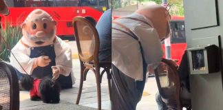 #VIDEO // Dr. Simi enternece las redes al consentir a unos “lomitos” en la calle