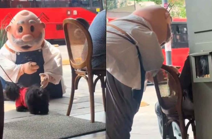 #VIDEO // Dr. Simi enternece las redes al consentir a unos “lomitos” en la calle
