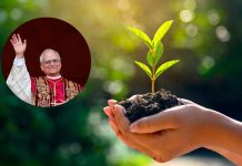 #COLUMNA // El Derecho a la Ciudad: El pecado de dañar a la naturaleza