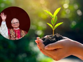 #COLUMNA // El Derecho a la Ciudad: El pecado de dañar a la naturaleza