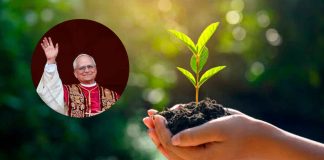 #COLUMNA // El Derecho a la Ciudad: El pecado de dañar a la naturaleza