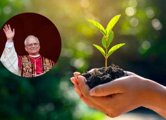 #COLUMNA // El Derecho a la Ciudad: El pecado de dañar a la naturaleza