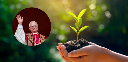 #COLUMNA // El Derecho a la Ciudad: El pecado de dañar a la naturaleza