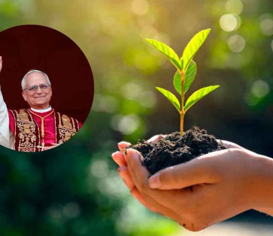#COLUMNA // El Derecho a la Ciudad: El pecado de dañar a la naturaleza