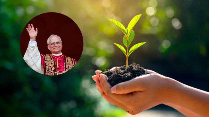 El-pecado-de-dañar-a-la-naturaleza