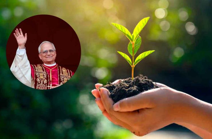 #COLUMNA // El Derecho a la Ciudad: El pecado de dañar a la naturaleza