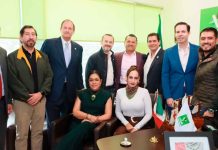 GPPVEM destaca unidad del Partido Verde para acompañar a Torres Piña
