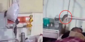 #VIDEO // ¡Insólito! Ratas recorren hospital y aparecen junto a pacientes