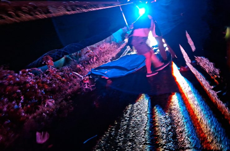 Muere atropellado un ciclista, en Los Reyes