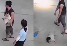 #VIDEO // Hombre lanza a pequeño contra el pavimento y se marcha como si nada