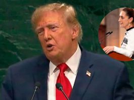 “México es el epicentro de la violencia de los cárteles”: Donald Trump lanza dura advertencia ante la ONU