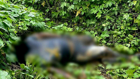 Hallan a hombre decapitado y cientos de cartuchos de alto poder en Los Coyotes