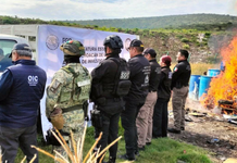 Destruyen droga, precursores químicos y objetos del delito asegurados en operativos registrados en Michoacán