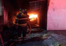 #VIDEO // Mueren 14 perritos tras incendio provocado por un cohete en CDMX