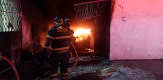 #VIDEO // Mueren 14 perritos tras incendio provocado por un cohete en CDMX