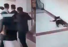 #VIDEO // Mujer se arrojó desde el primer piso de un juzgado en la India tras audiencia