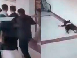#VIDEO // Mujer se arrojó desde el primer piso de un juzgado en la India tras audiencia