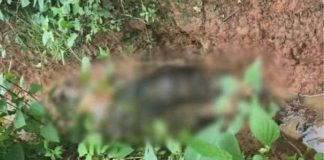Hallan restos humanos en paraje de Tacámbaro