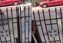 #VIDEO // Niña de 10 años muere tras ser atropellada y lanzada 40 metros por un BMW en Rumanía