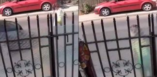 #VIDEO // Niña de 10 años muere tras ser atropellada y lanzada 40 metros por un BMW en Rumanía