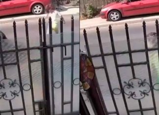 #VIDEO // Niña de 10 años muere tras ser atropellada y lanzada 40 metros por un BMW en Rumanía