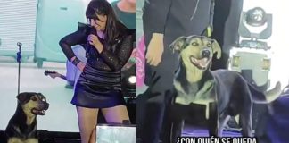 #VIDEO // ¡El mejor fan! Un perrito se roba el show durante concierto de Kudai en Bolivia