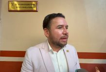 PT no descartaría ir solo en algunas candidaturas de 2027 en Michoacán