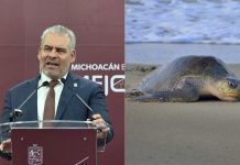Polo deja daños menores en ramadas y campos tortugueros de la costa michoacana