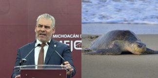 Polo deja daños menores en ramadas y campos tortugueros de la costa michoacana