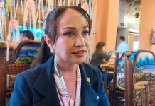Sin obra para Lázaro Cárdenas no hay apoyo a Torres Piña: Itzé Camacho