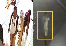 Identifican a “El Trompas” como presunto sospechoso del feminicidio de española en Cuautla