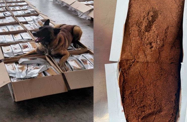 Aseguran más de una tonelada de presunta cocaína oculta en cargamento de café en el AICM