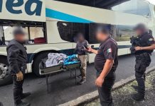 Aseguran arma larga y cerca de un kilo de marihuana en autobús sobre la Autopista de Occidente