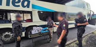 Aseguran arma larga y cerca de un kilo de marihuana en autobús sobre la Autopista de Occidente