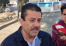 Crece a 56 la sospecha de gusano barrenador en Morelia; alistan Consejo de Sanidad Animal