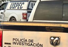 Hallan a dos hombres ejecutados en predio rústico de la región de Álvaro Obregón