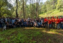 Grupo Marmor logra meta de reforestación con la plantación de mil árboles en Atécuaro