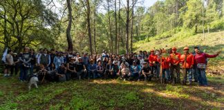 Grupo Marmor logra meta de reforestación con la plantación de mil árboles en Atécuaro