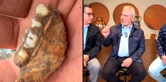 #VIDEO // “Aprovechan la estigmatización de Michoacán”: Bedolla sobre versión de los mil 600 dientes en Zacapu