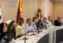 Ayuntamiento de Morelia aprueba el Día Municipal de la Concientización y Sensibilización sobre la Diabetes Tipo 1
