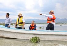Avanza retiro de lirio en Presa Malpaís de Queréndaro; 500 hectáreas serán limpiadas: Bedolla
