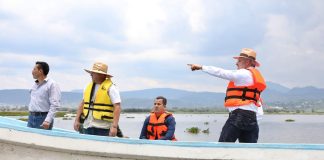 Avanza retiro de lirio en Presa Malpaís de Queréndaro; 500 hectáreas serán limpiadas: Bedolla