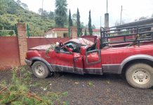 Pino colapsa y aplasta camioneta en la Tacámbaro-Pátzcuaro; hay 4 heridos