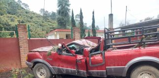 Pino colapsa y aplasta camioneta en la Tacámbaro-Pátzcuaro; hay 4 heridos
