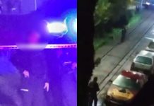 #VIDEO // Detonaciones de arma de fuego dejan un canino muerto y autos dañados al norte de Morelia