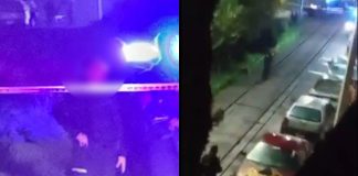 #VIDEO // Detonaciones de arma de fuego dejan un canino muerto y autos dañados al norte de Morelia
