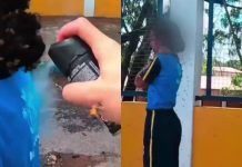 #VIDEO // Motoboy se enfrenta a un enjambre de abejas para salvar a una niña en Brasil