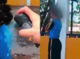 #VIDEO // Motoboy se enfrenta a un enjambre de abejas para salvar a una niña en Brasil