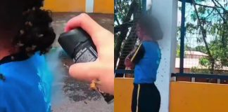 #VIDEO // Motoboy se enfrenta a un enjambre de abejas para salvar a una niña en Brasil